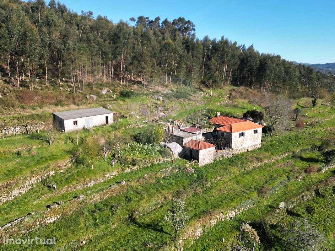 Quinta T3 para venda - Grande imagem: 2/27