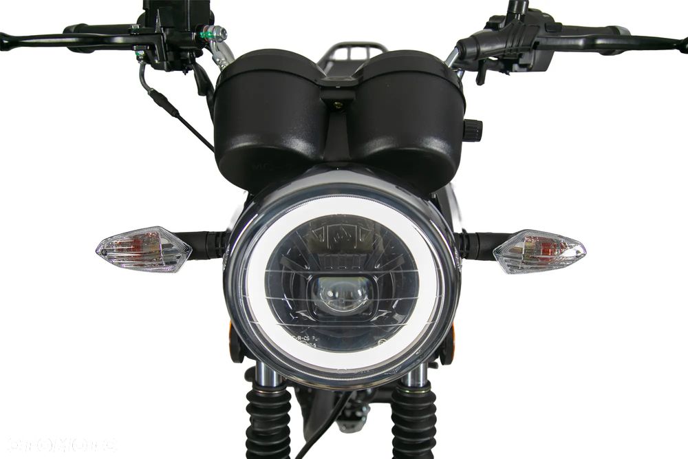 Torq Moko - 9