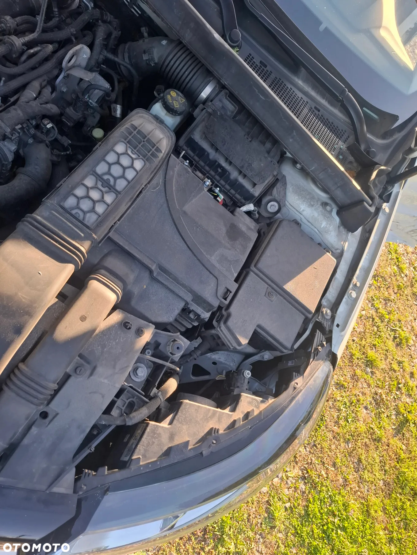 Renault Megane - 13