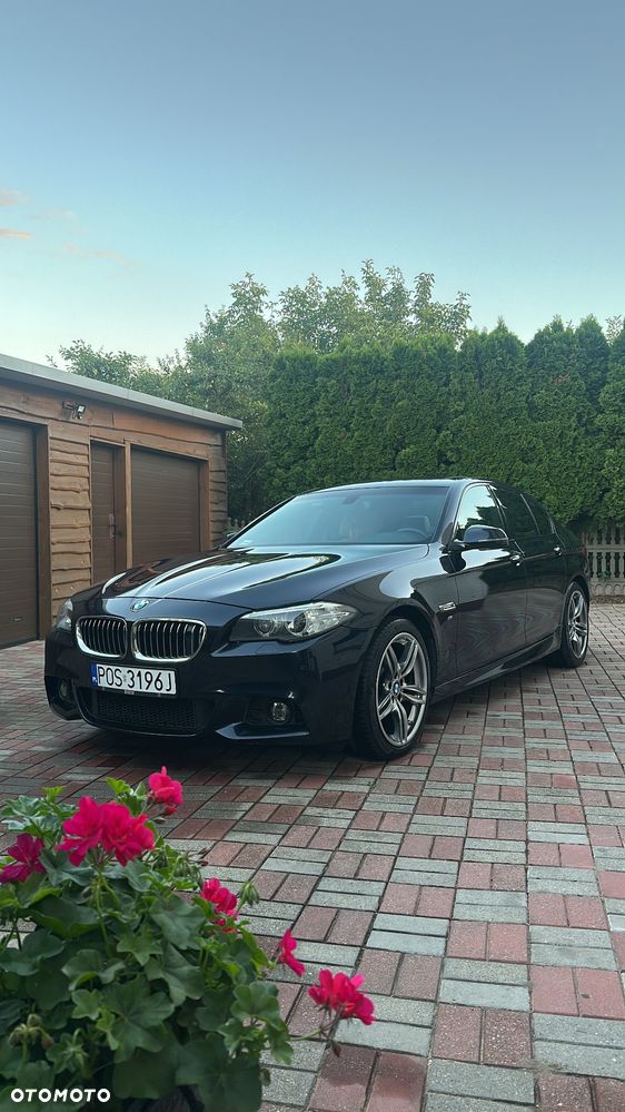 BMW Seria 5 520d xDrive - 24