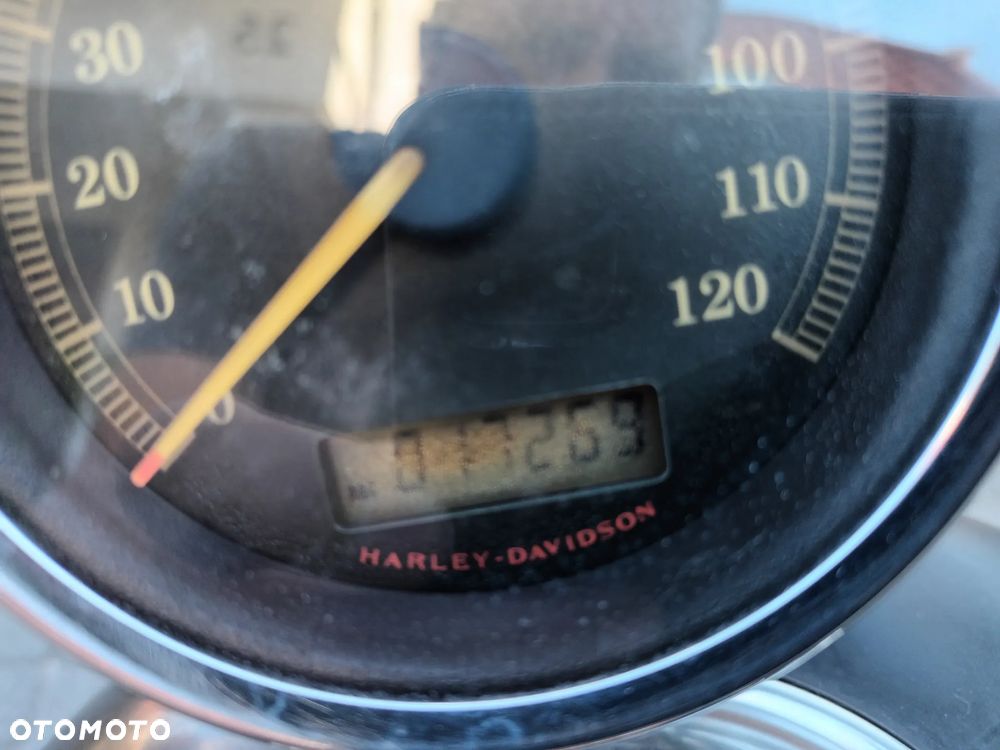 Harley-Davidson Sportster Custom 1200C - 10