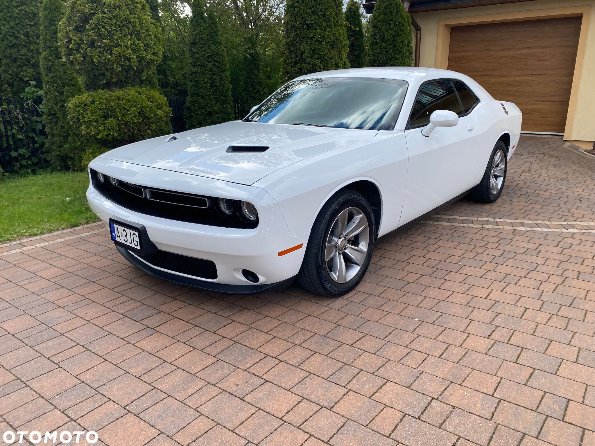 Dodge Challenger - 1