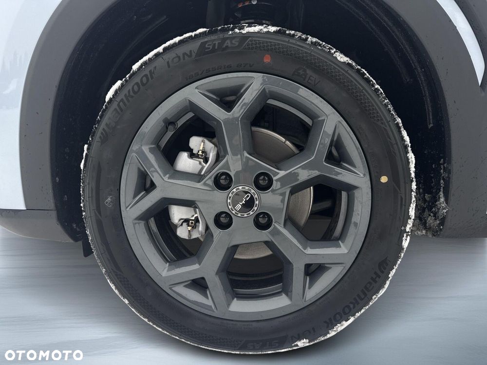 BYD Dolphin Surf - 32