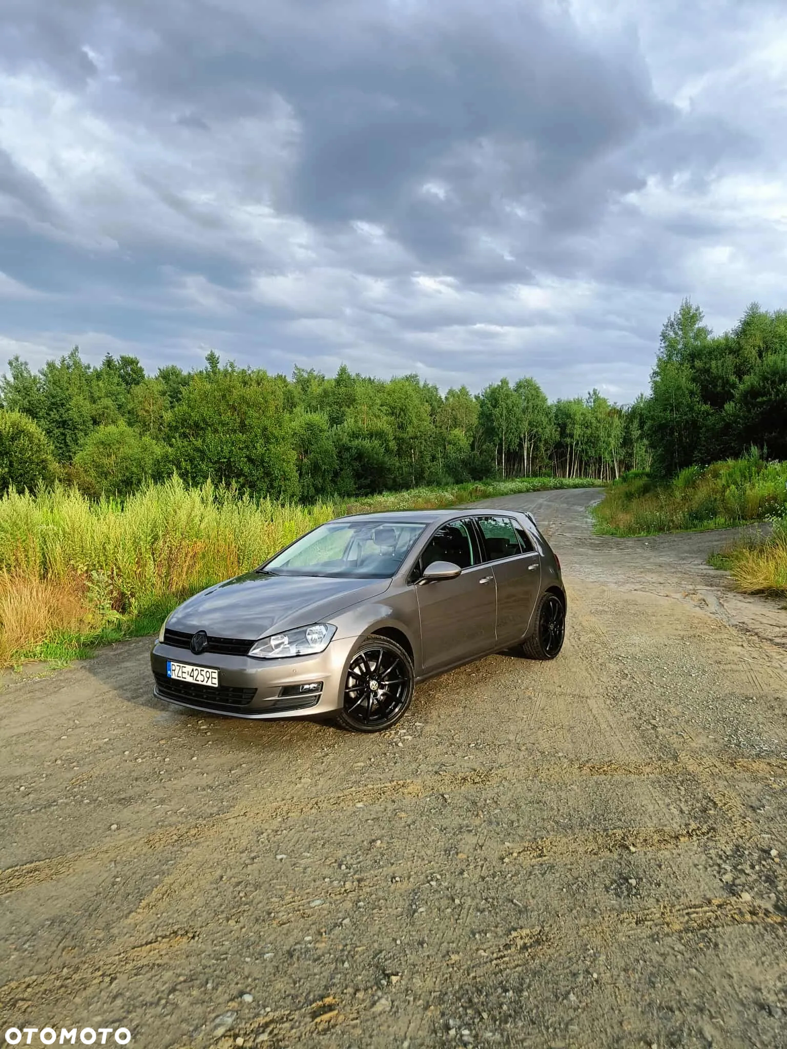 Volkswagen Golf - 2