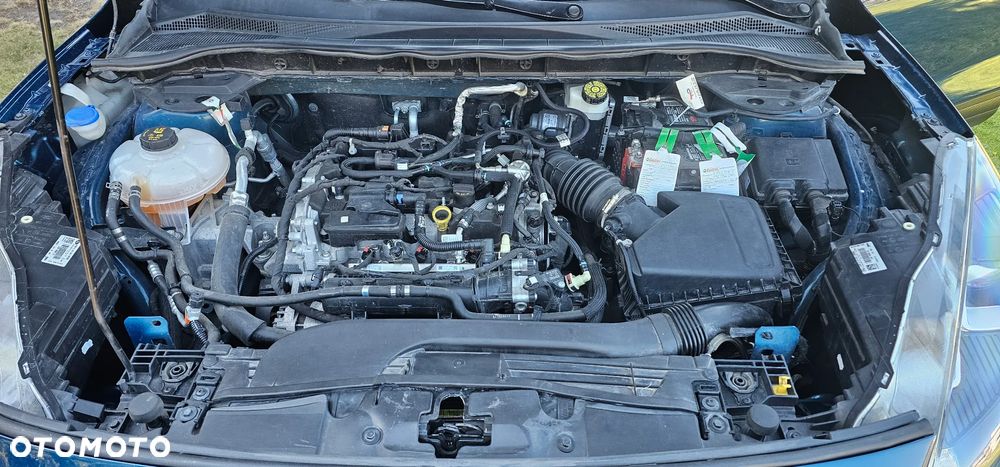 Ford Kuga 1.5 EcoBoost AWD Trend ASS - 24