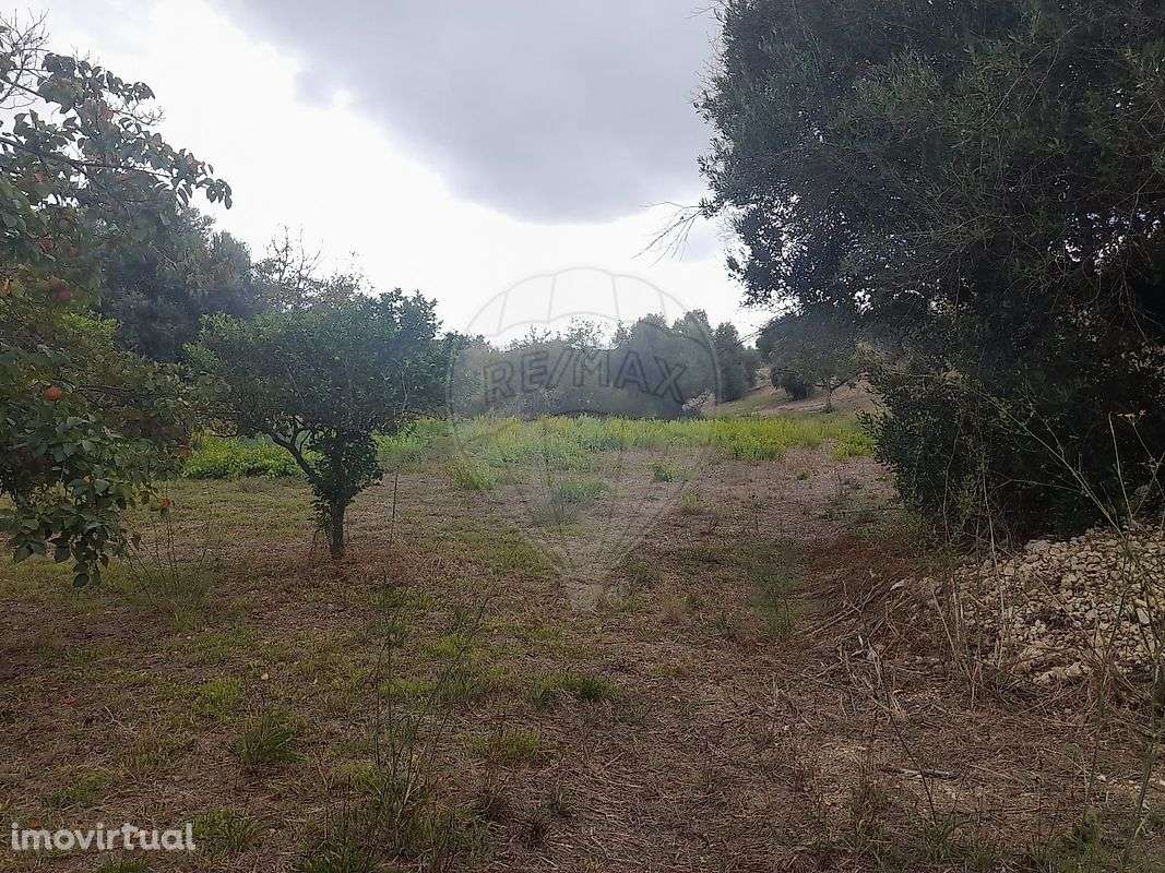 Terreno  para venda - Grande imagem: 4/23