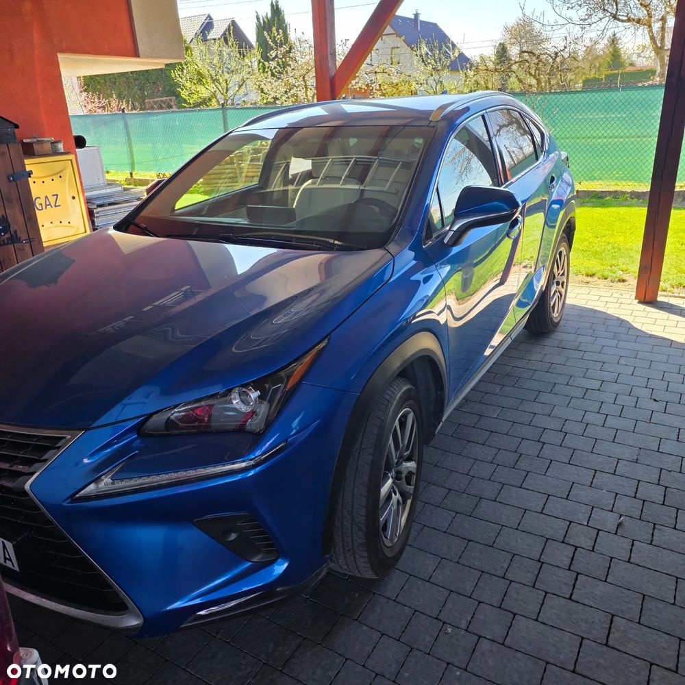 Lexus NX 300 GPF Comfort AWD - 2