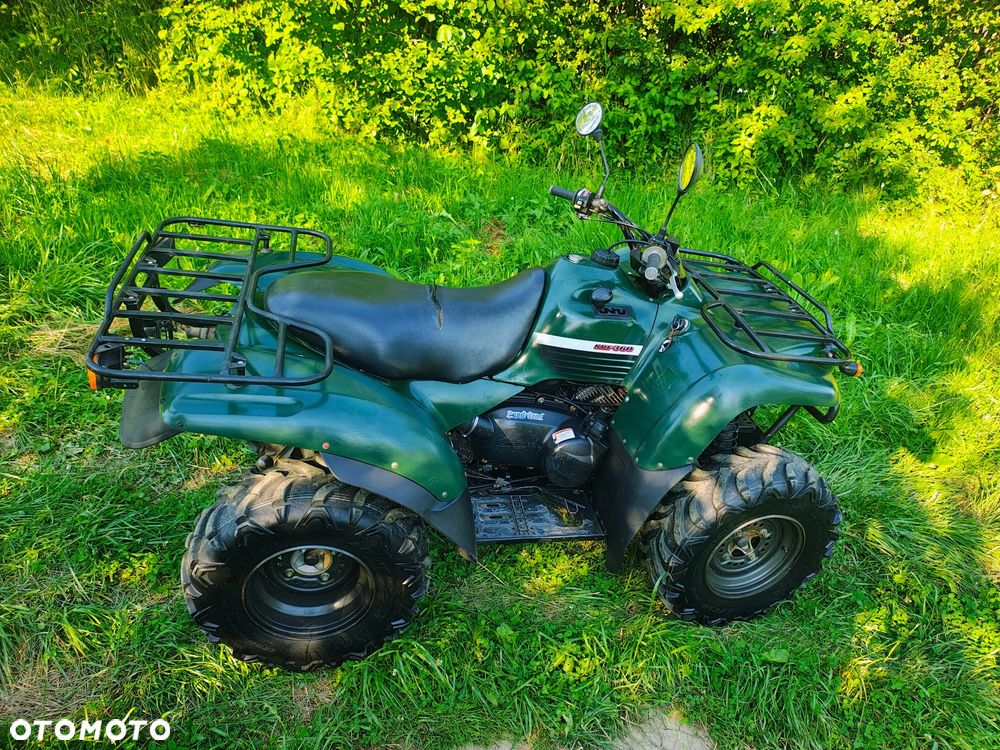 Kawasaki Brute Force - 8