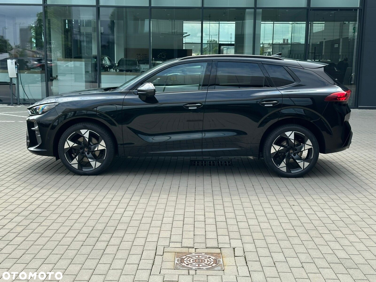 Cupra Terramar - 19
