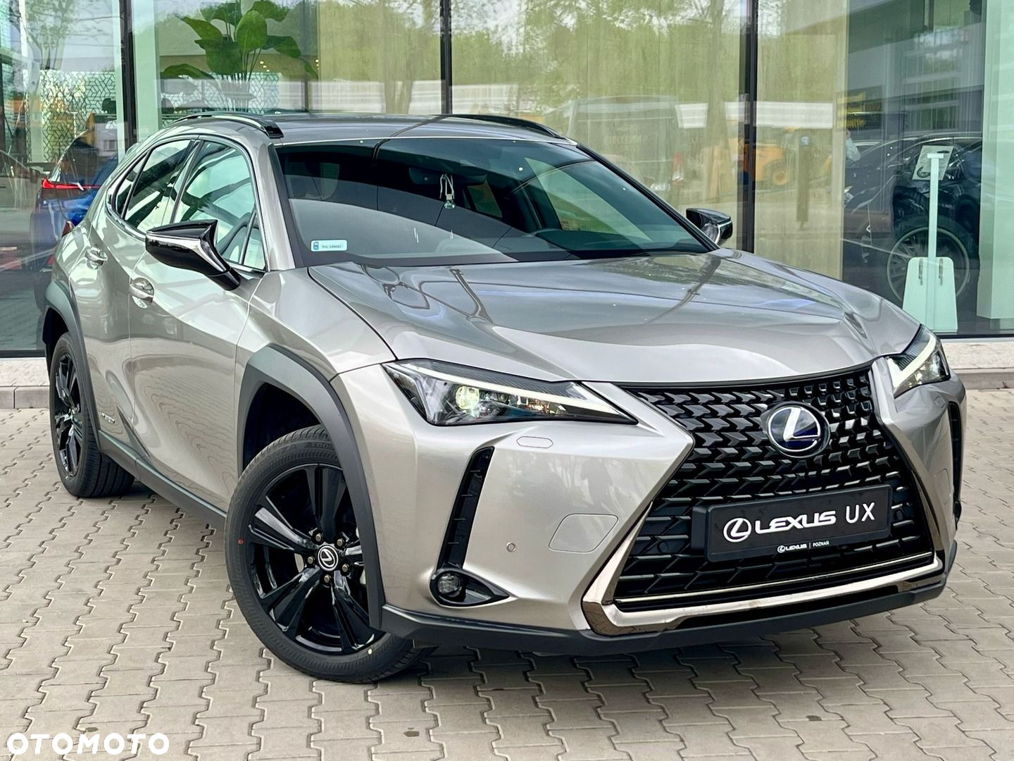 Lexus UX - 9