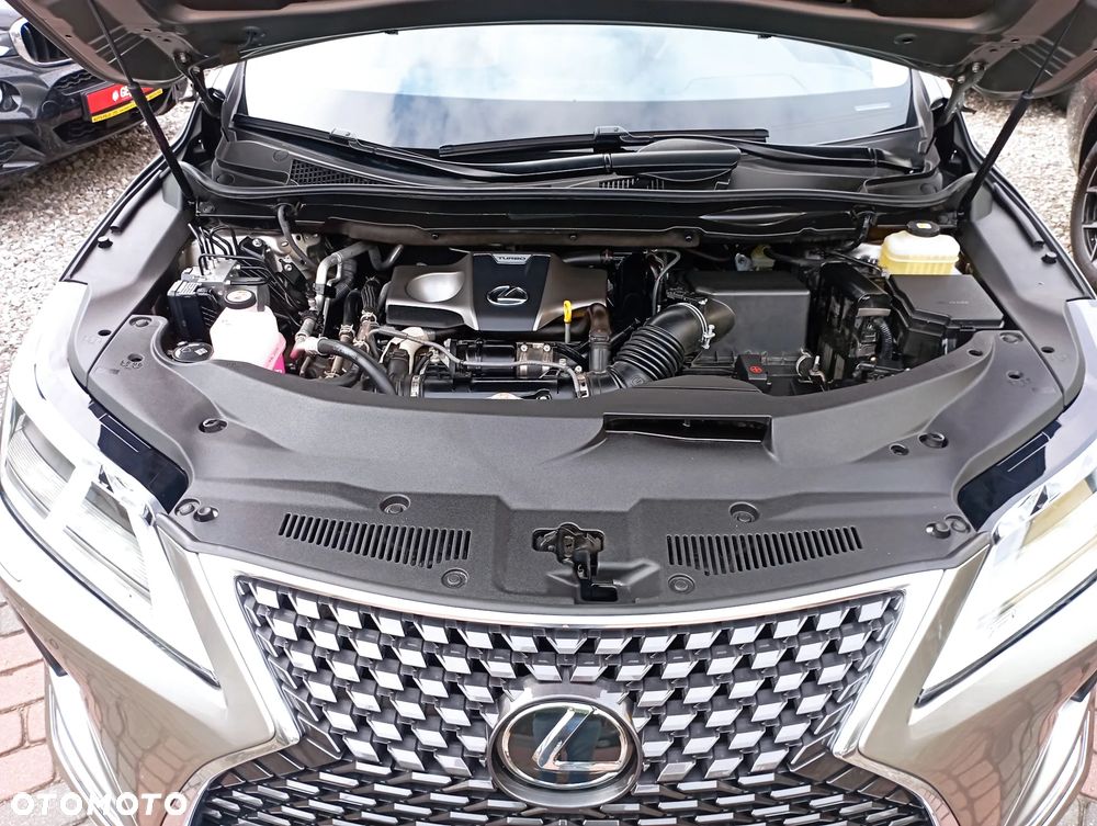 Lexus RX 300 Business Edition + - 32