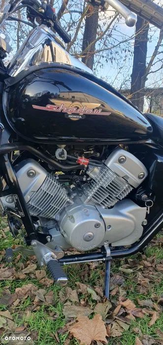 Honda Shadow - 5