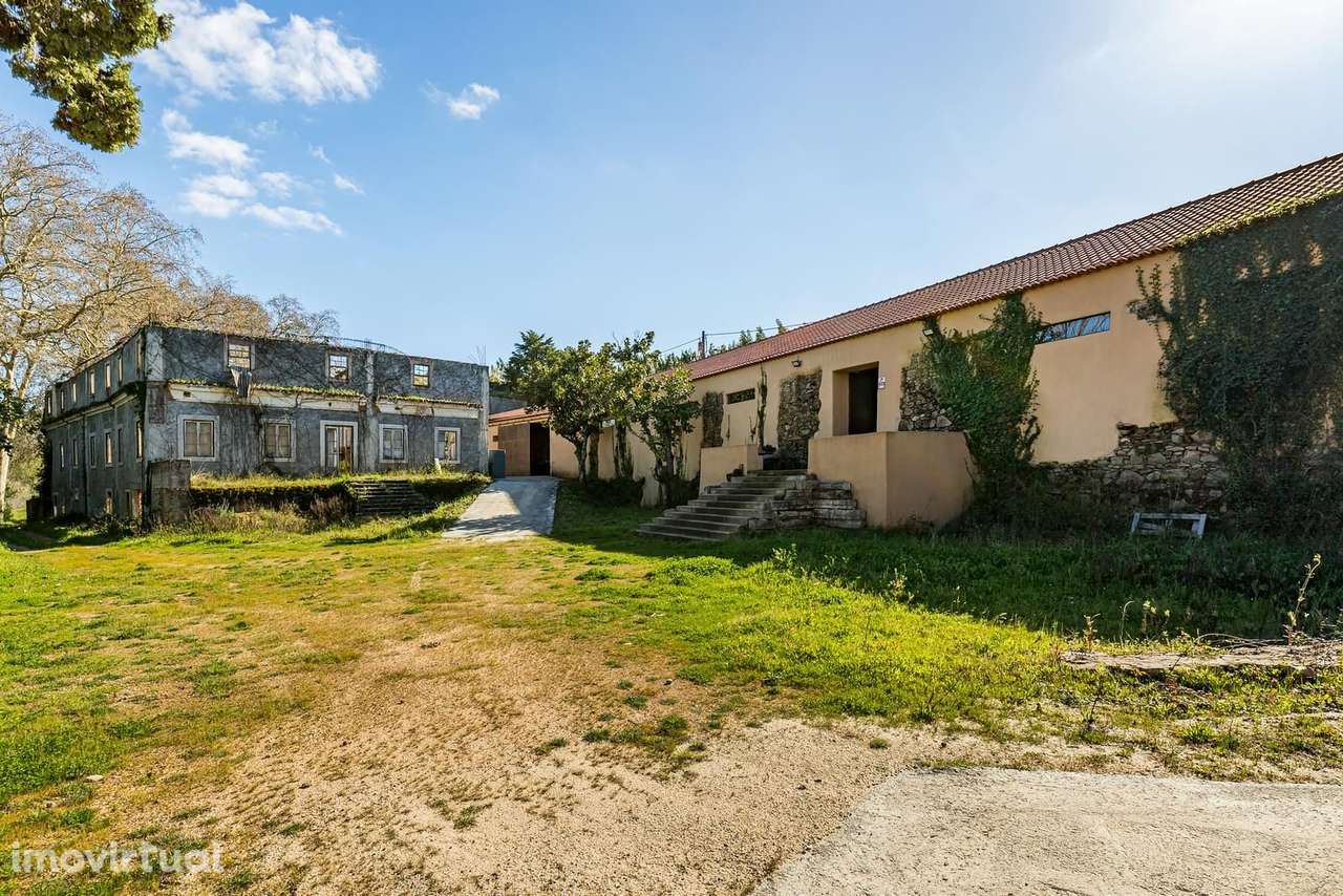 Quinta 7.6 ha, Torres Vedras - Grande imagem: 3/41