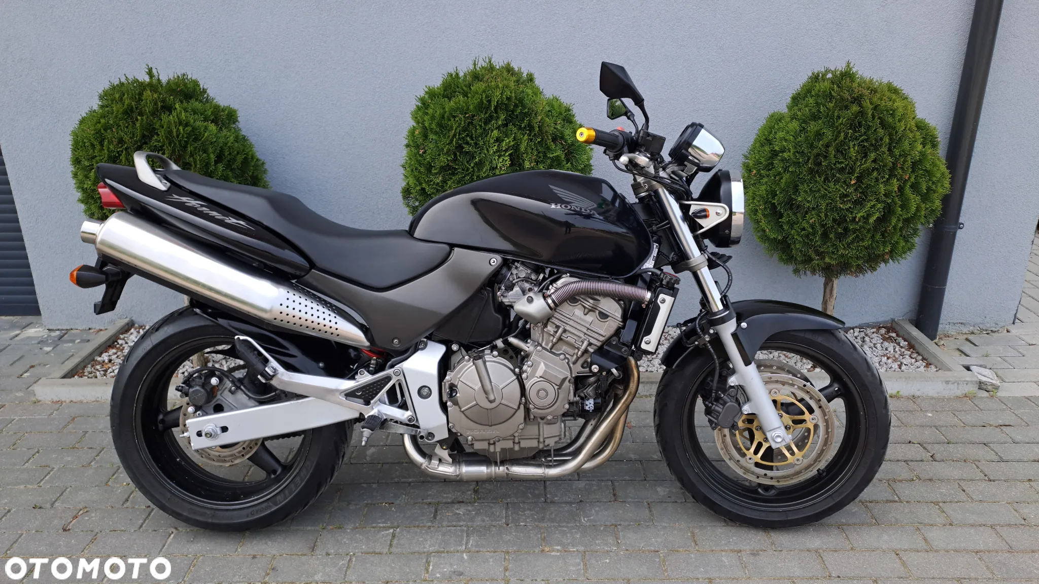 Honda Hornet - 2