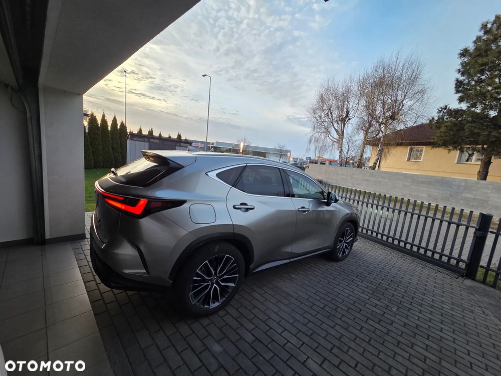 Lexus NX - 5
