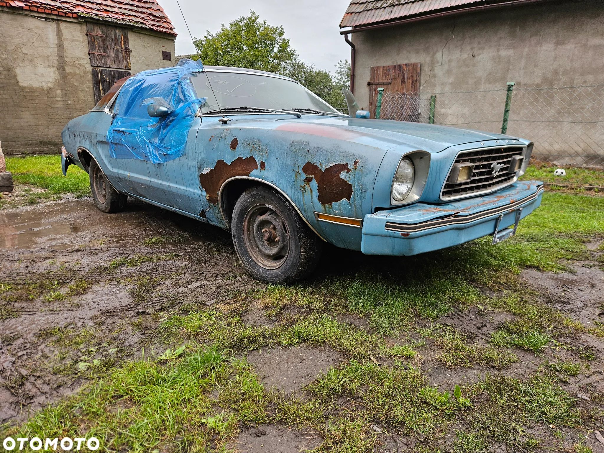 Ford Mustang - 12