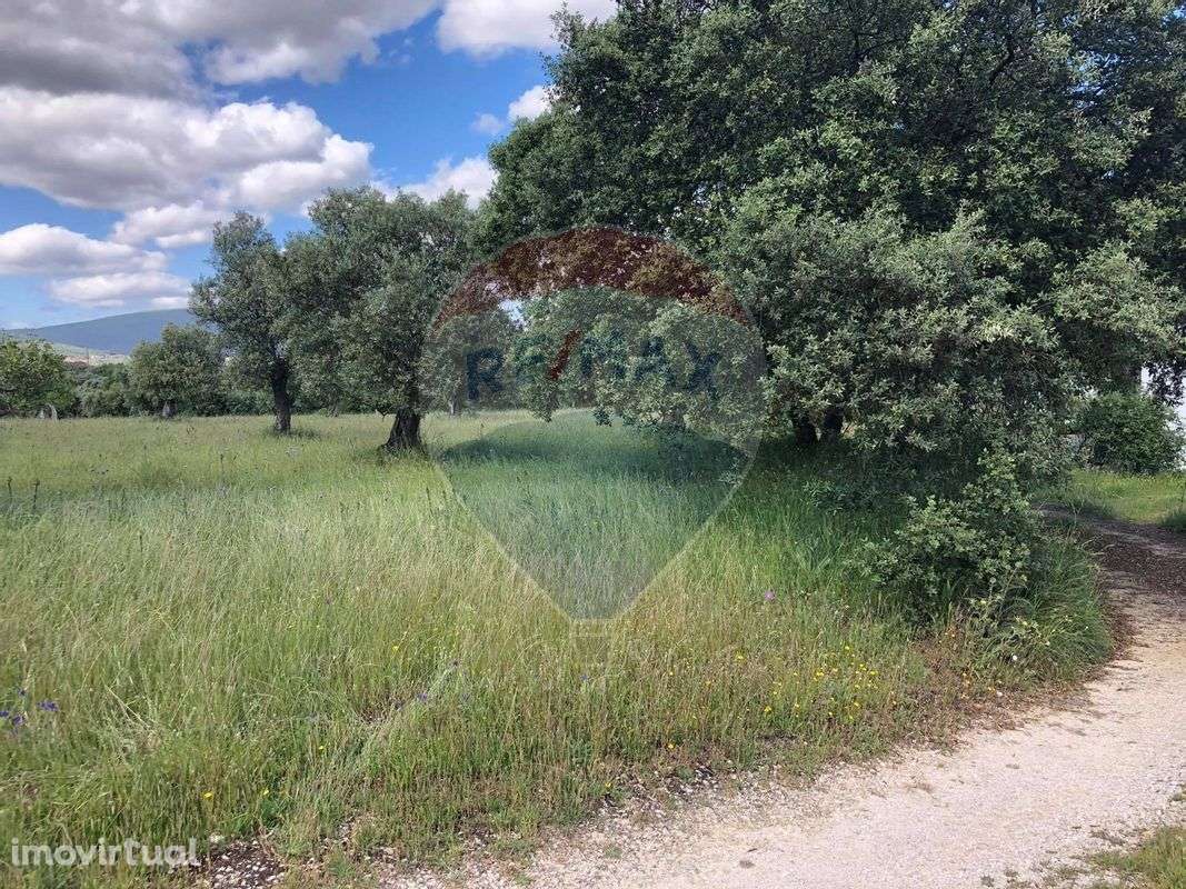 Terreno  para venda - Grande imagem: 5/8