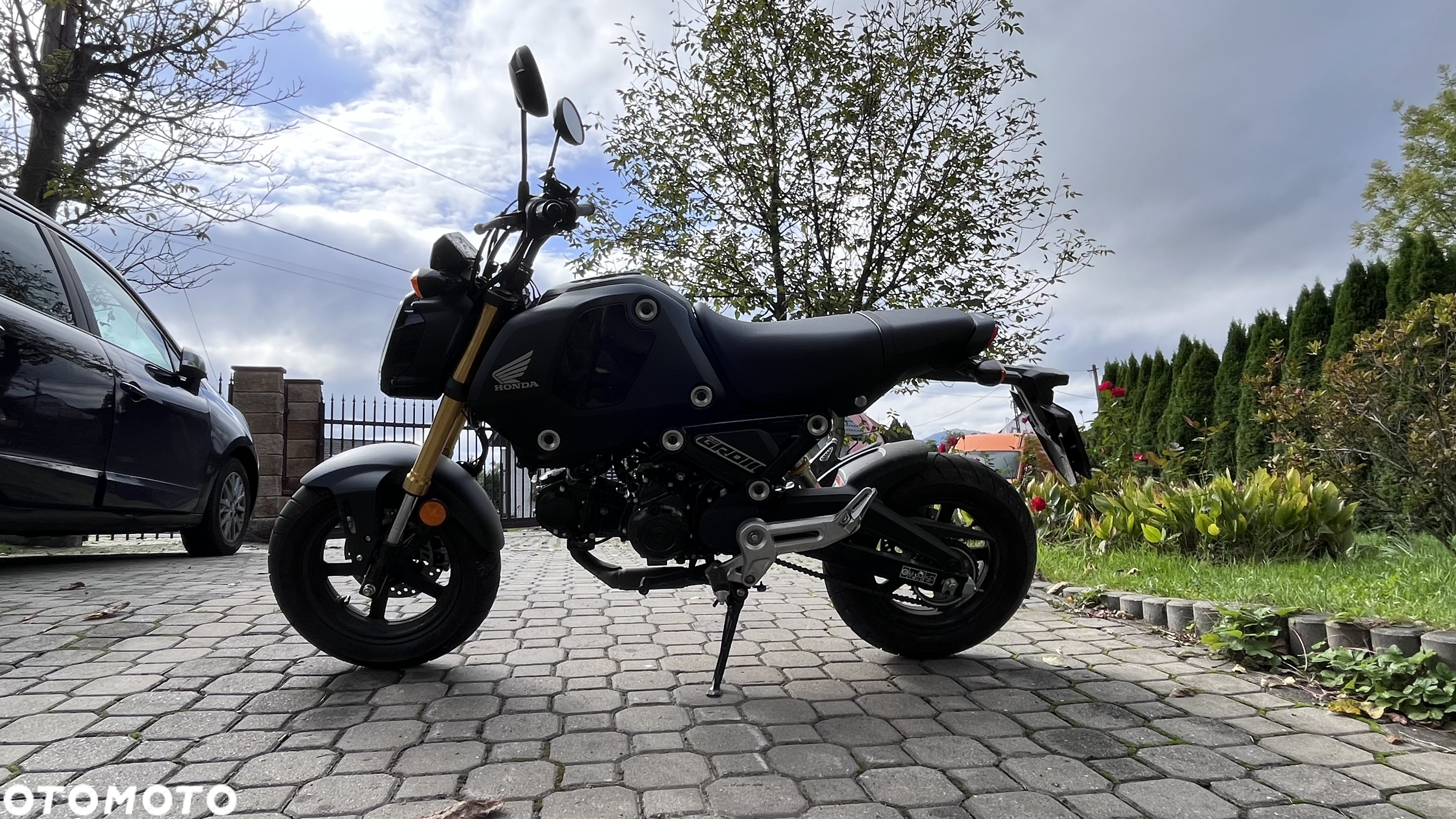 Honda MSX 125 - 4