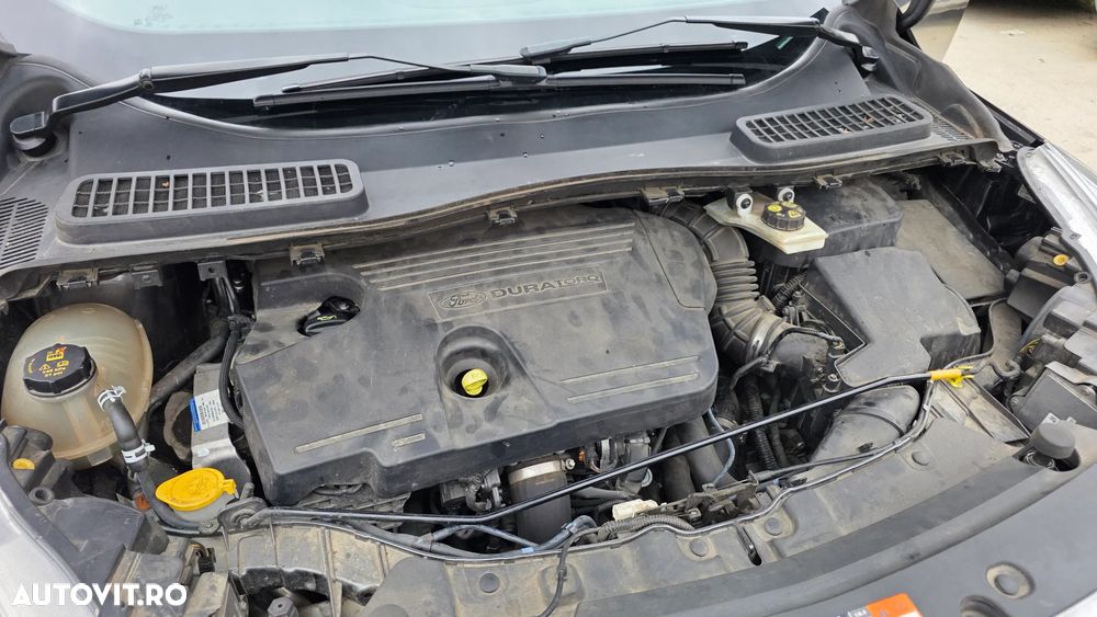 FORD Kuga 2019 — imagine 18