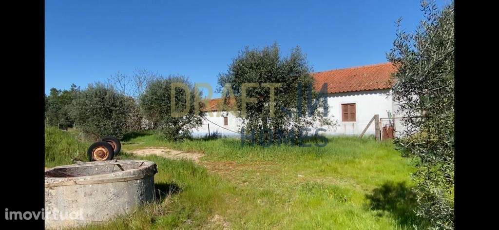Terreno  com casa para recuperar ou para construção nova de raiz proje - Grande imagem: 2/8