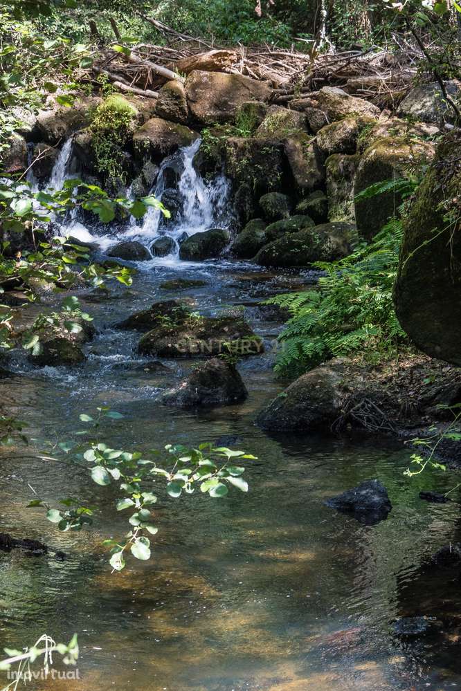 Quinta em  Midões, Tábua, com cerca de 6 hectares junto ao Rio Cavalos - Grande imagem: 2/32