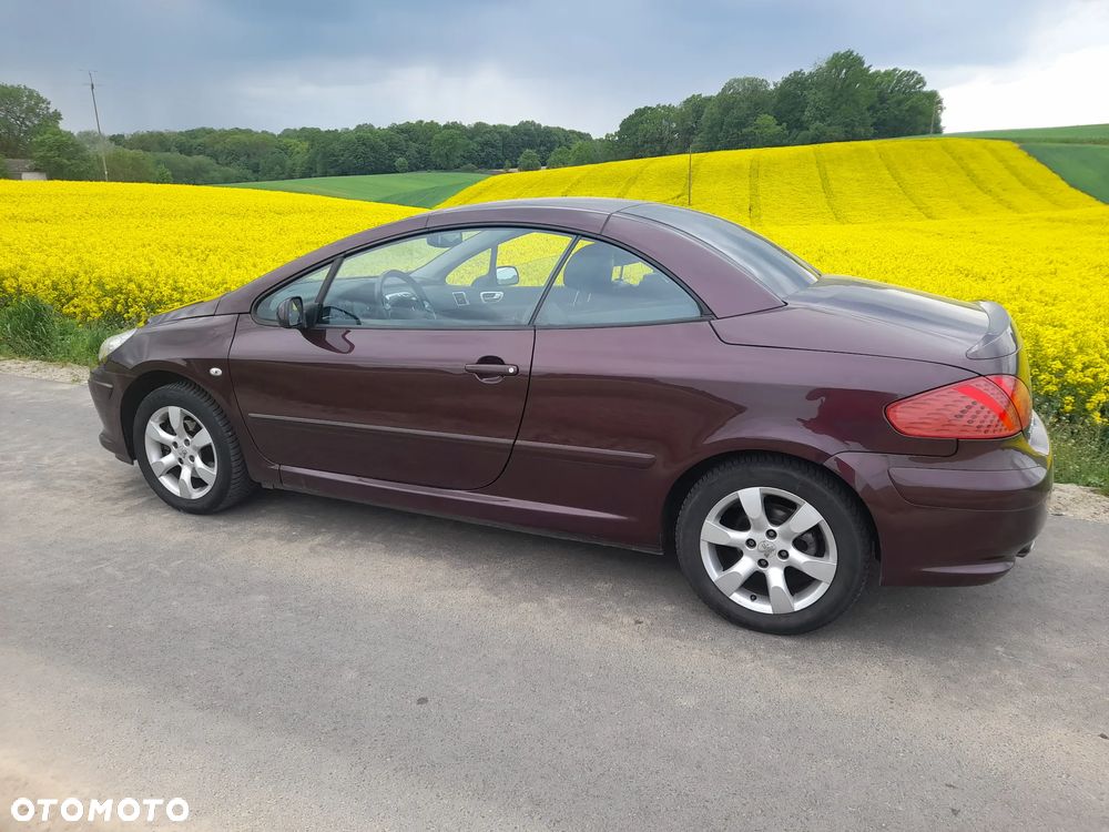 Peugeot 307 CC - 6