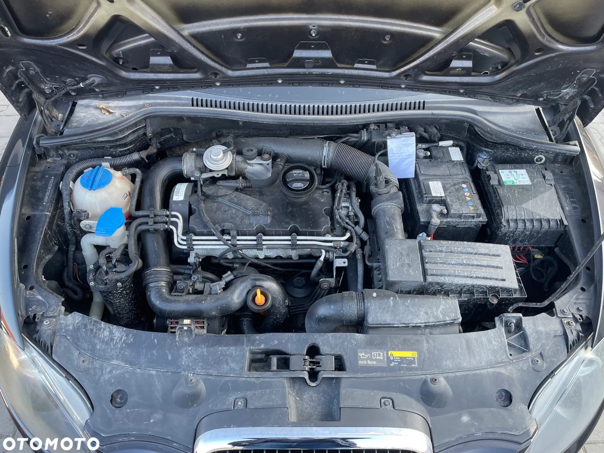 Seat Leon - 17