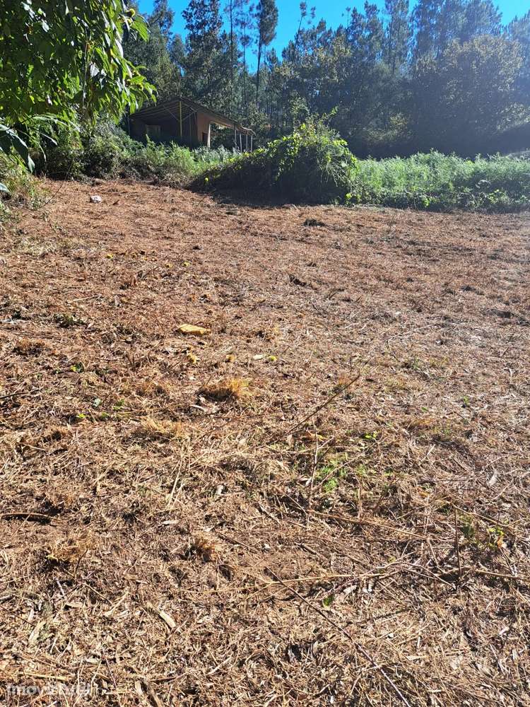 Terreno Rústico em Gondomar - Oportunidade Única por 75.000€ - Grande imagem: 3/11