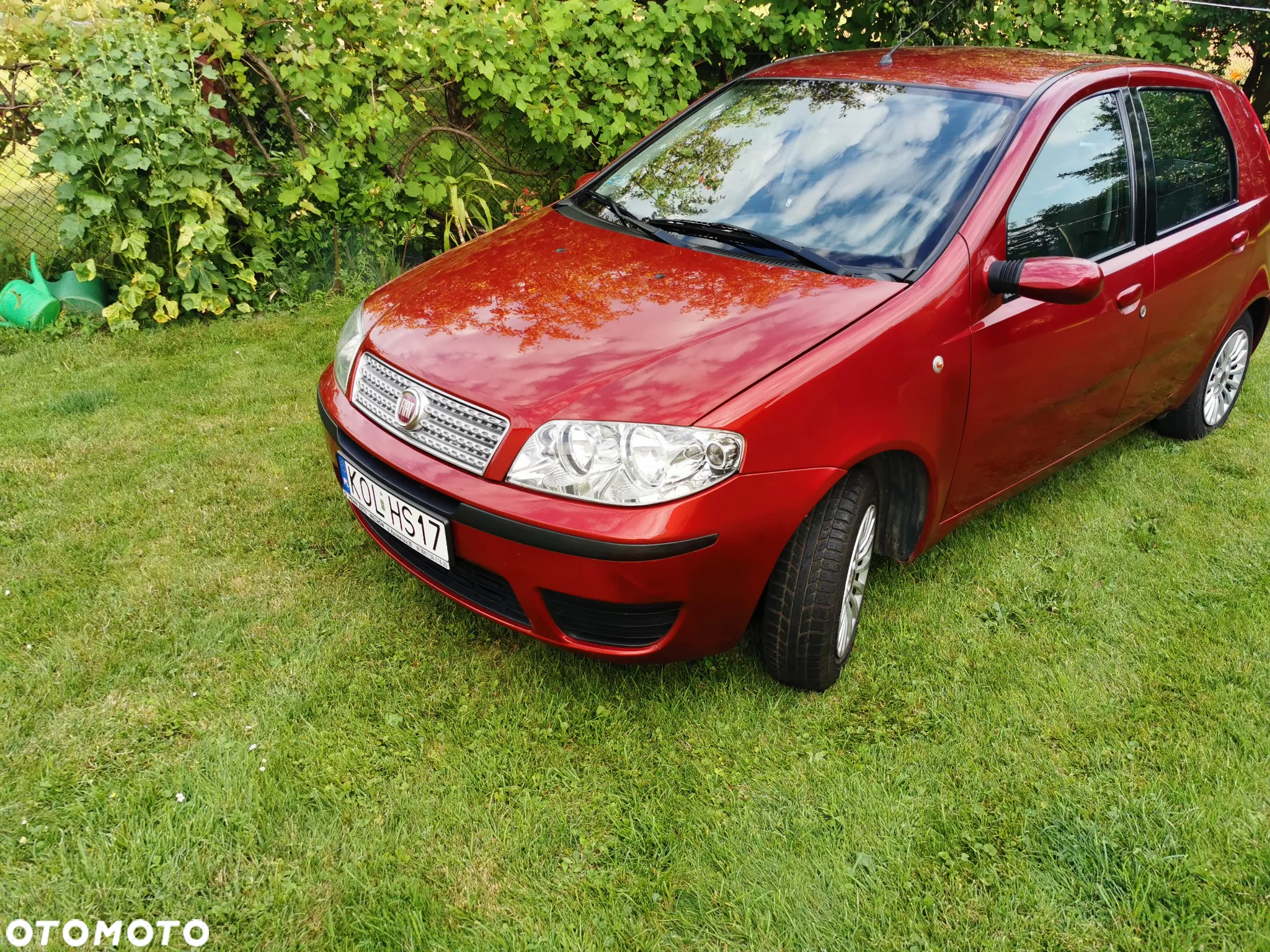 Fiat Punto 1.2 8V Classic - 3