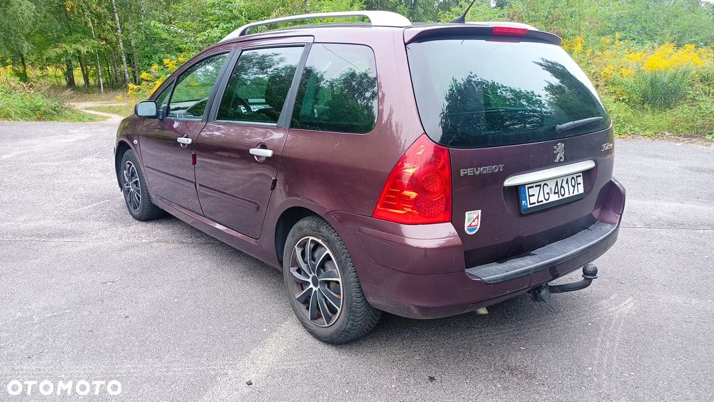 Peugeot 307 2.0 - 6