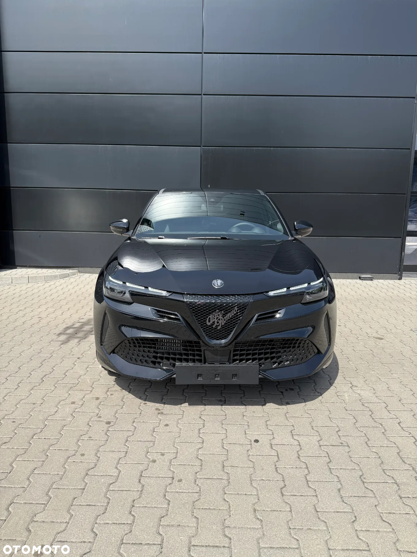 Alfa Romeo Junior - 3