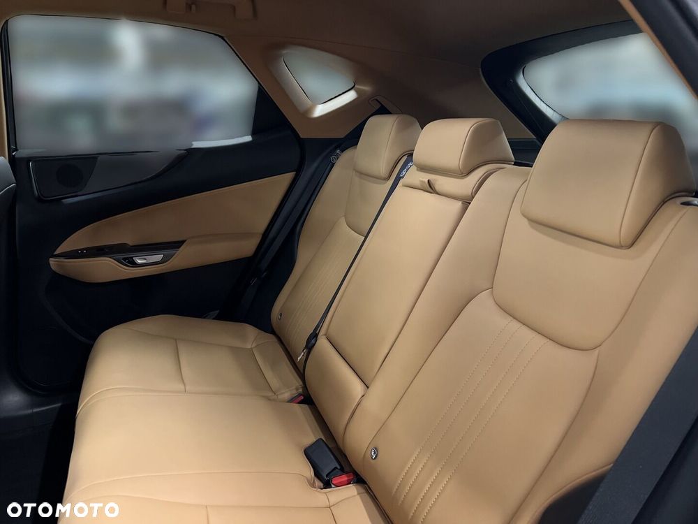 Lexus NX 350h Prestige AWD - 13