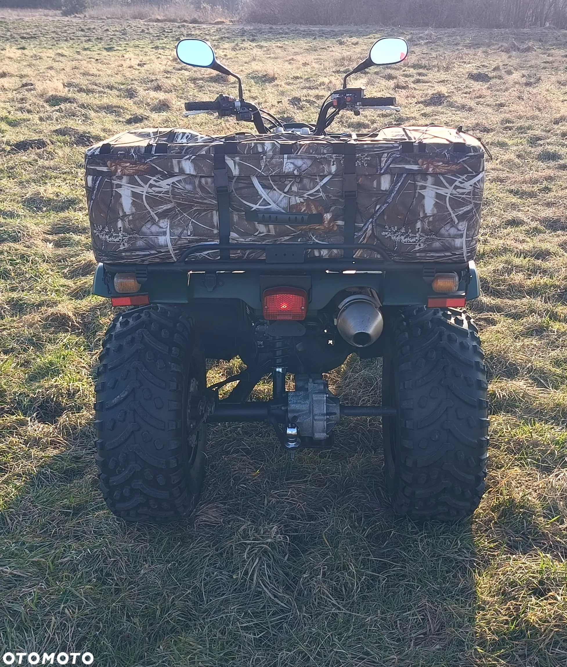 Yamaha Grizzly