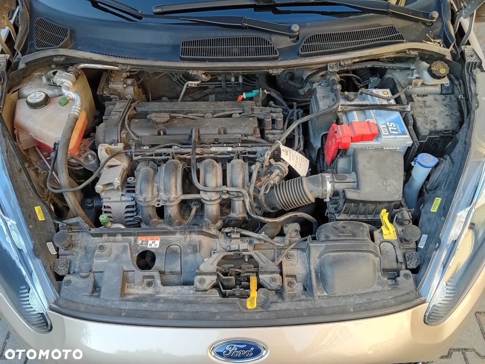 Ford Fiesta 1.4 Gold X EU6 - 28