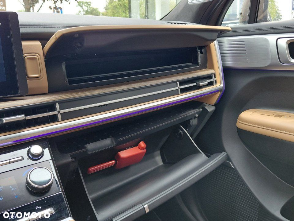 Hyundai Santa Fe - 19
