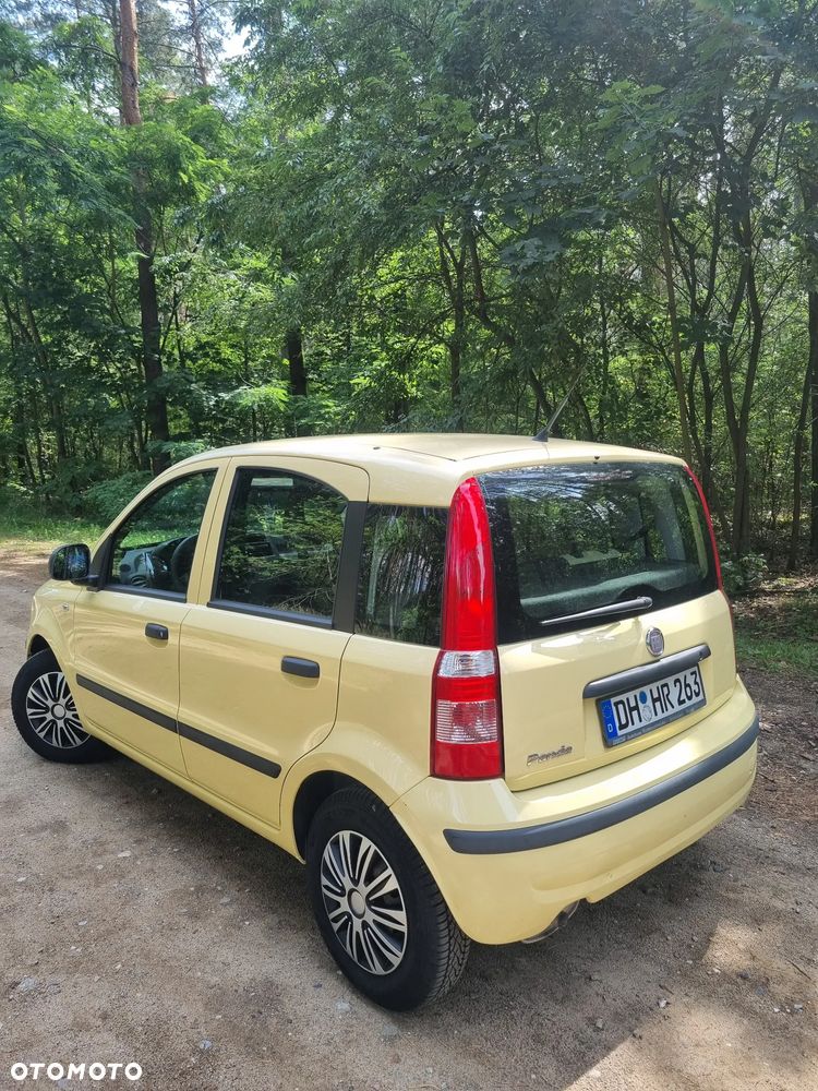 Fiat Panda 1.2 Active - 33