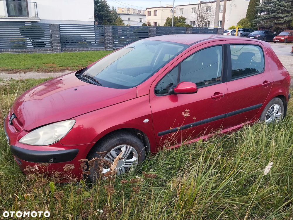 Peugeot 307 1.4 Mistral - 2