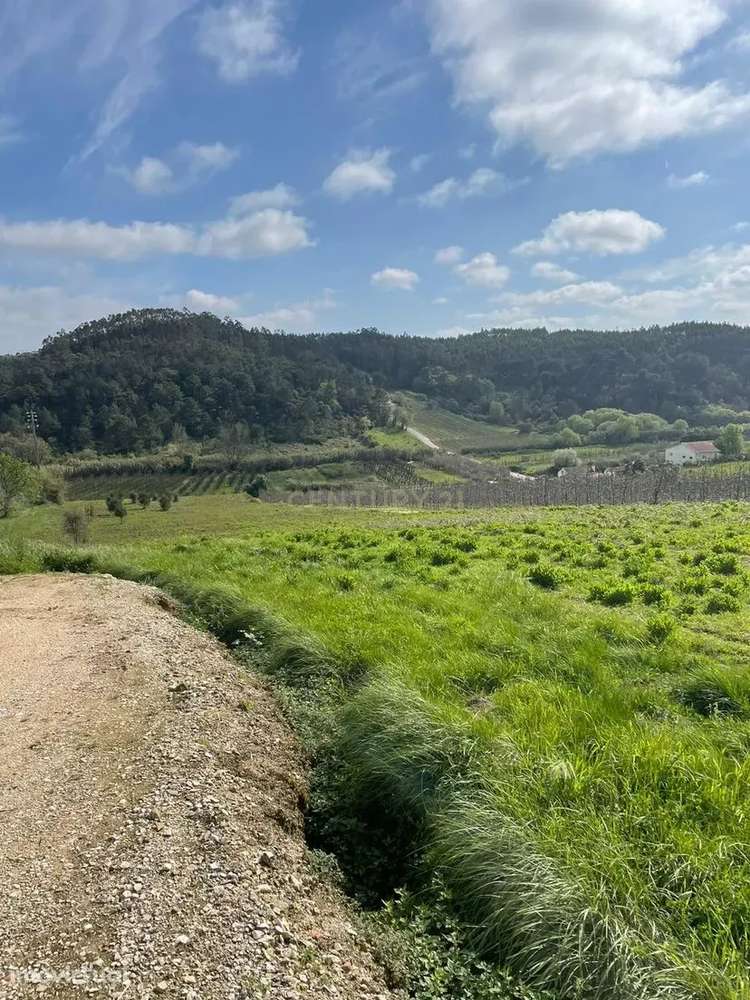 Terreno Rústico em Salir de Matos, Caldas da Rainha - Grande imagem: 5/6