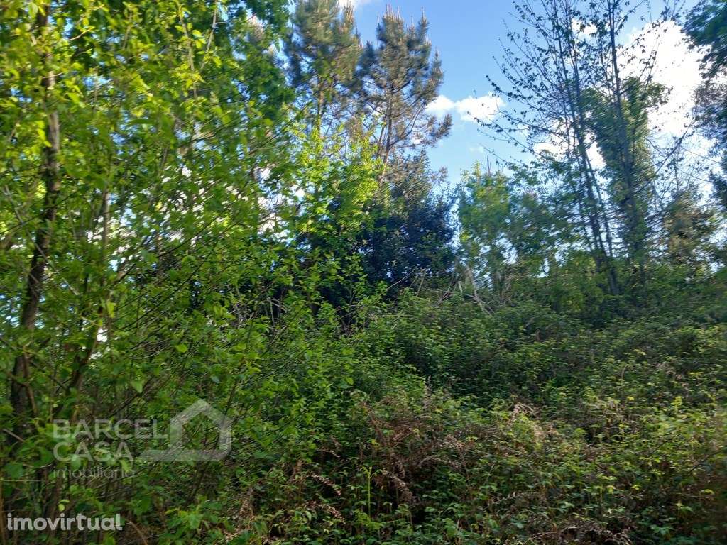 Terreno de construção em Sandiães - Ponte de Lima - Grande imagem: 4/11