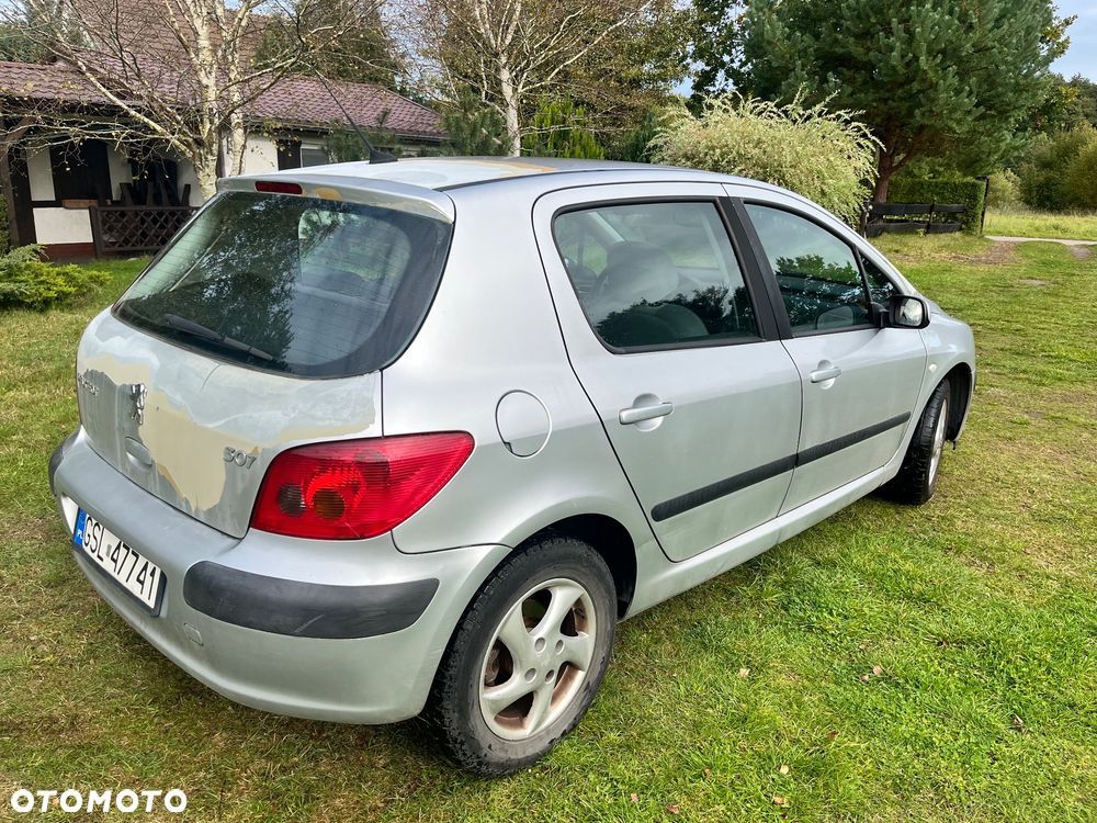 Peugeot 307 - 5
