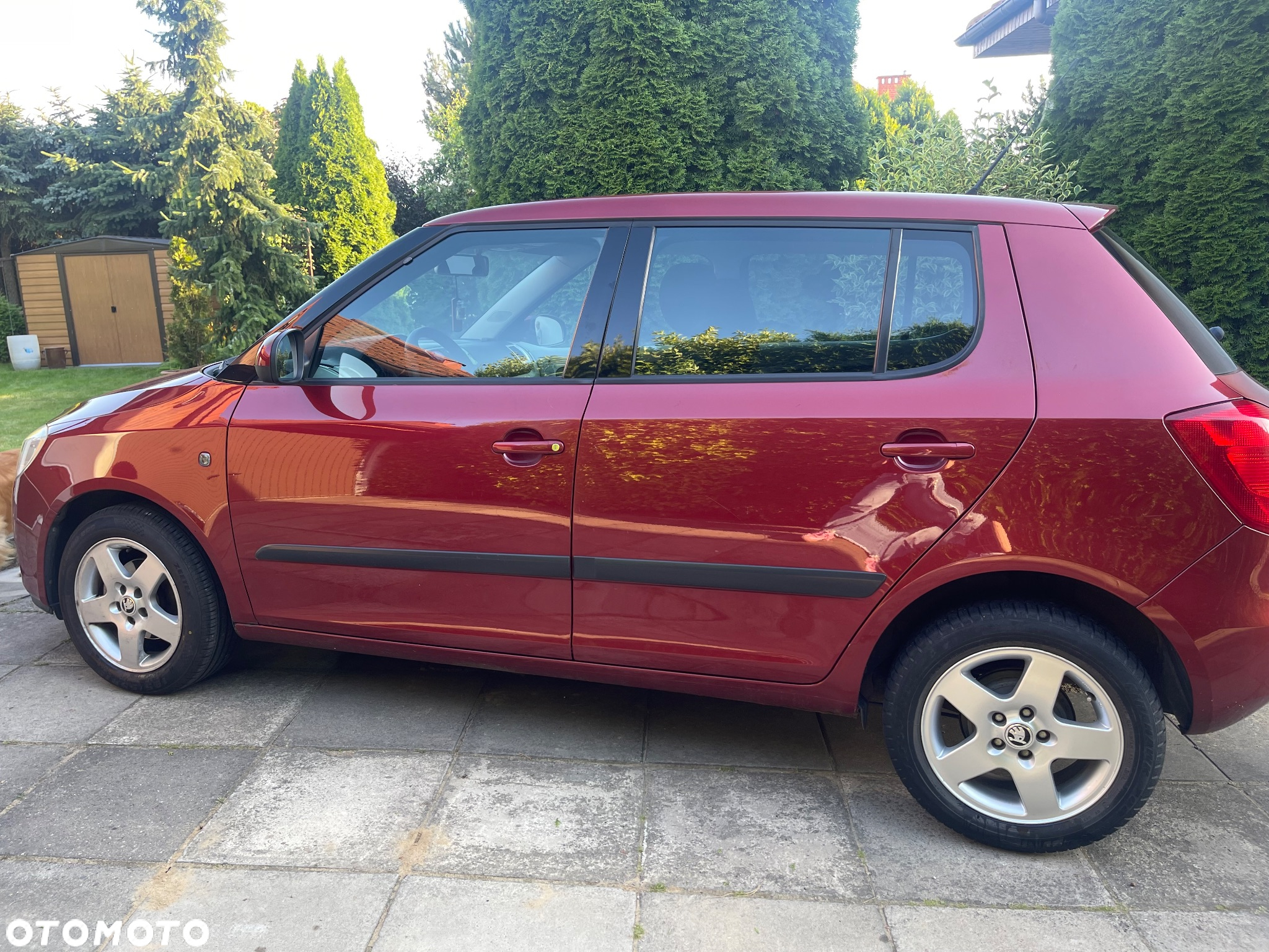 Skoda Fabia - 3