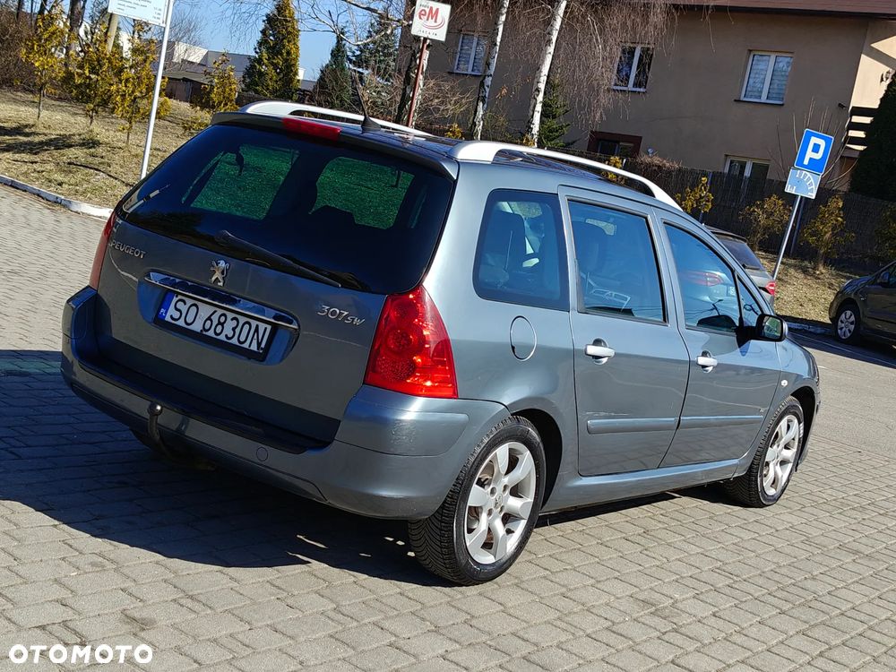 Peugeot 307 HDi 135 Platinum - 9