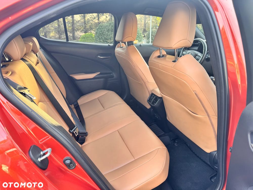 Lexus UX 250h F Sport 2WD - 10