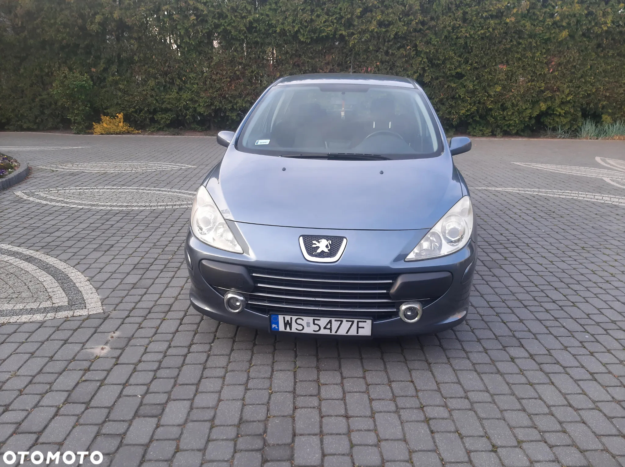 Peugeot 307 110 Premium - 2