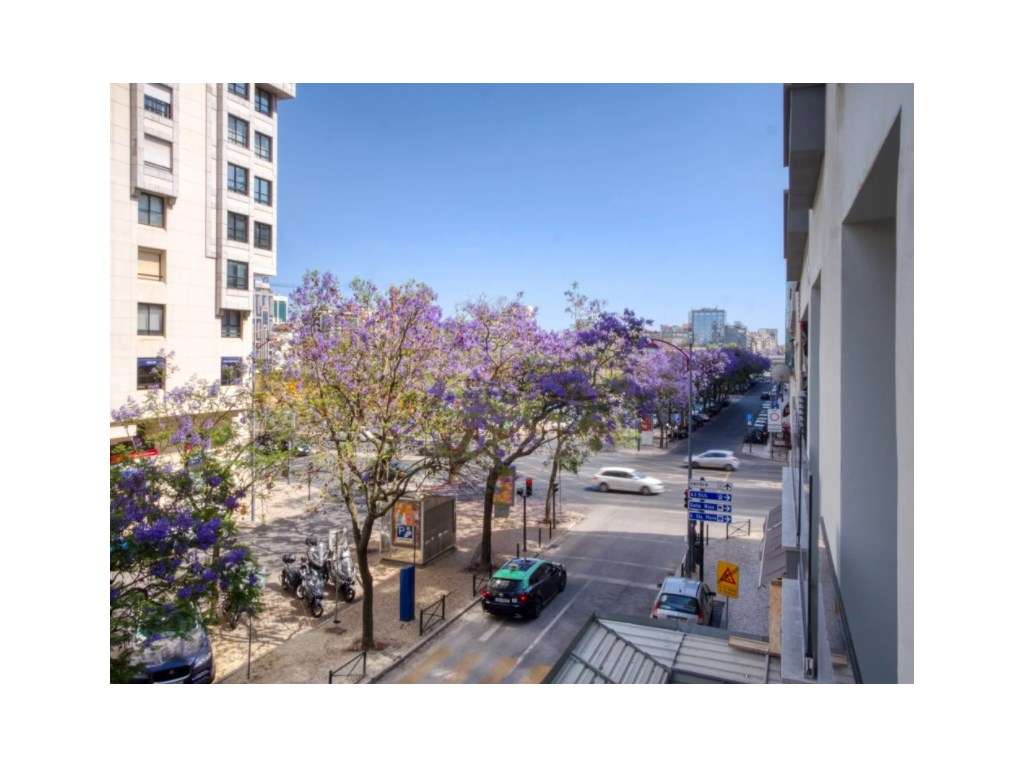 Apartamento T3 Boutique no 8 andar da Avenida 5 de Outubro com Suít... - Grande imagem: 2/12