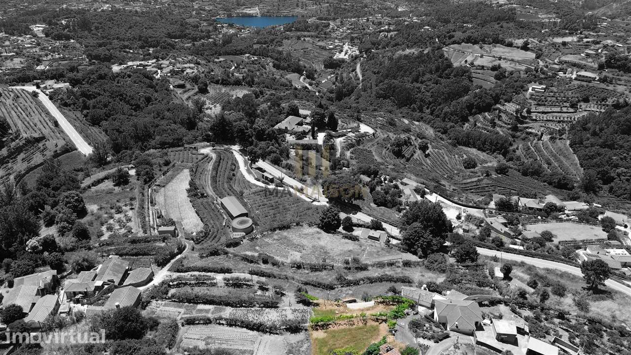 1350 M2 | VISTAS DOURO | C/ RUINA - Grande imagem: 2/9