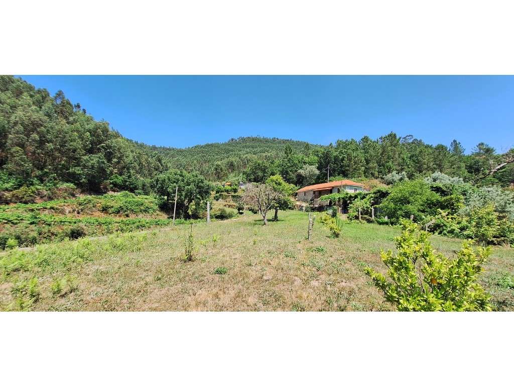 NEGOCIÁVEL Quintinha com casa em pedra perto passadiço do paiva - Grande imagem: 4/14