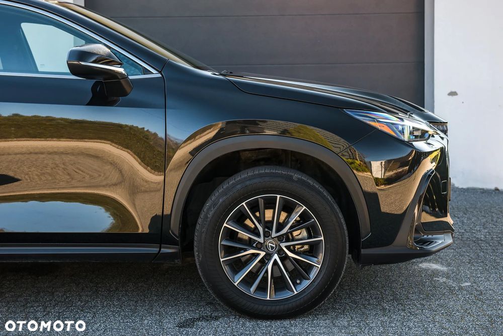 Lexus NX - 13