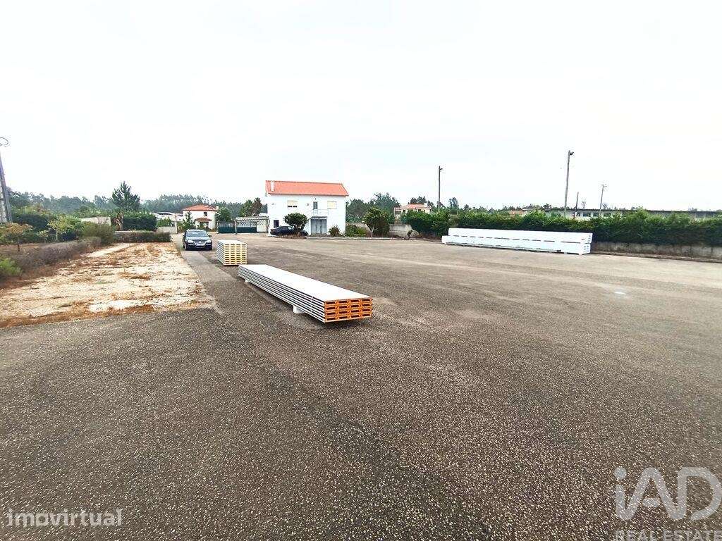 Terreno industrial em Vieira de Leiria - Grande imagem: 5/31