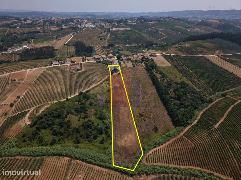 Moradia T3 com Terreno de 7.868 m² | Vista Panorâmica sobre o Campo... - Grande imagem: 4/31